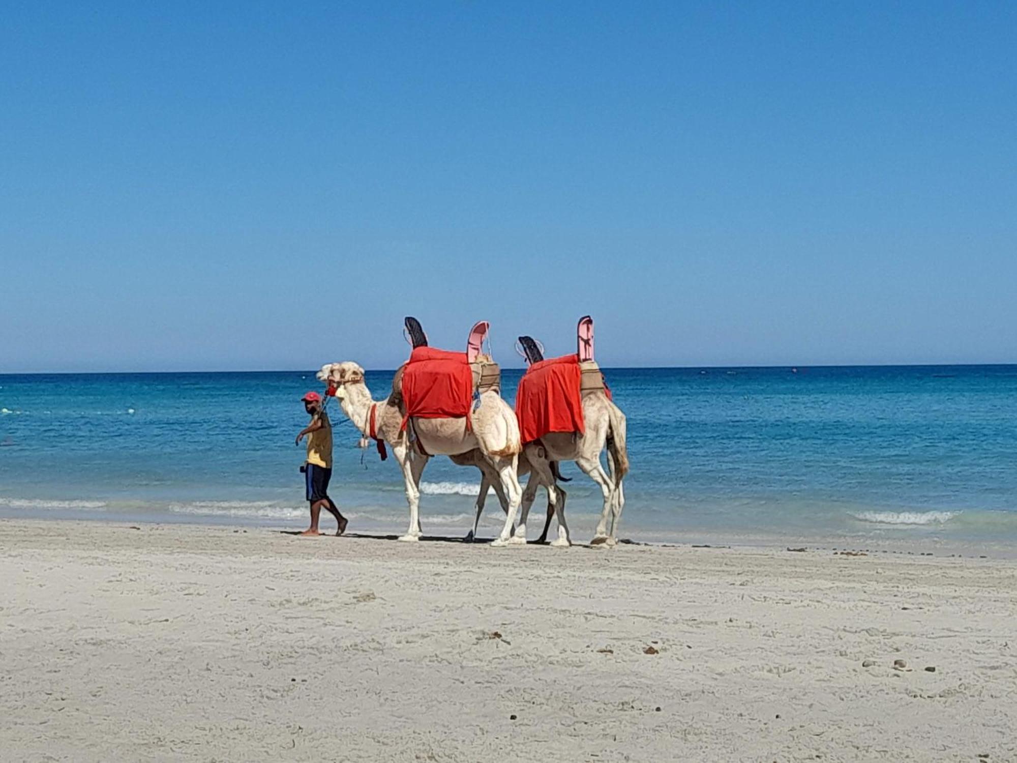 Hotel Dar El Kahina Djerba Mezraia Exterior foto